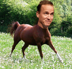 Peyton Manning Horse